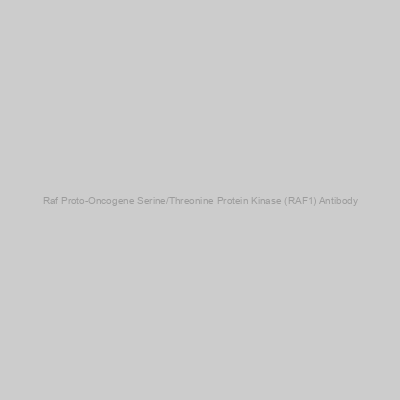 Abbexa - Raf Proto-Oncogene Serine/Threonine Protein Kinase (RAF1) Antibody